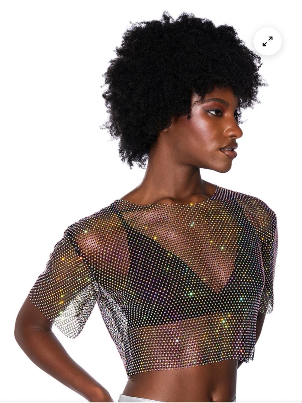 AKIRA Iridescent Rhinestone Mesh Crop Top in Black